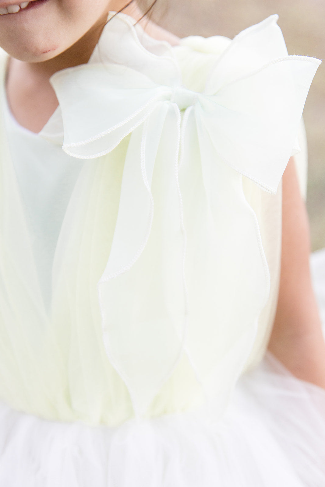 Dream Puff Spring Mesh Dress - Mila Raine 