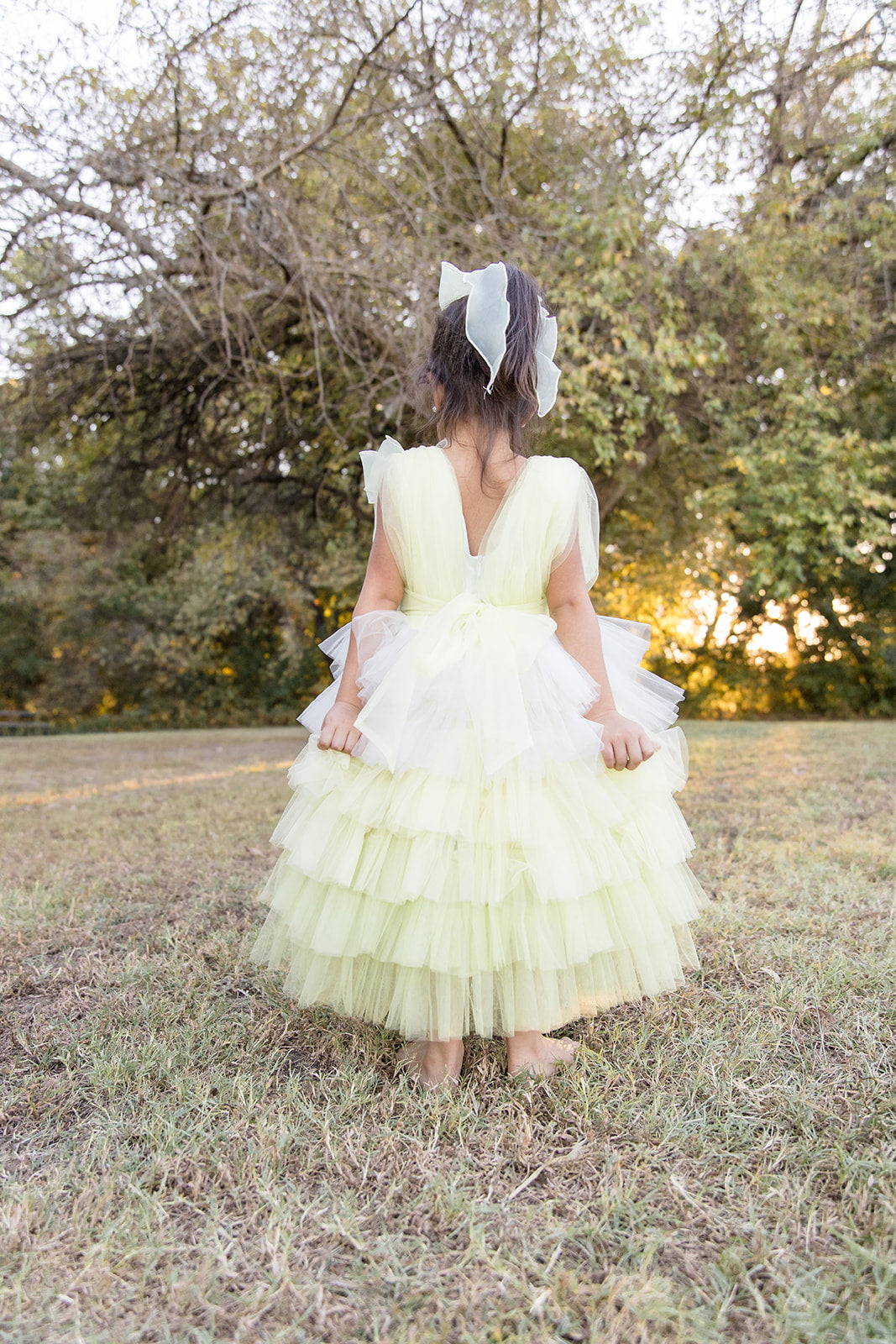 Dream Puff Spring Mesh Dress - Mila Raine 