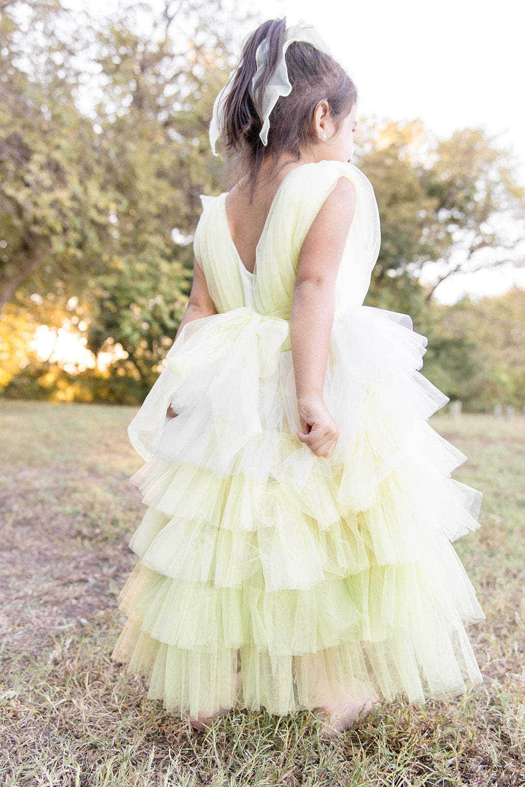 Dream Puff Spring Mesh Dress - Mila Raine 