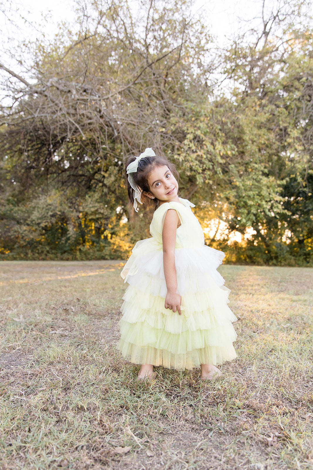 Dream Puff Spring Mesh Dress - Mila Raine 
