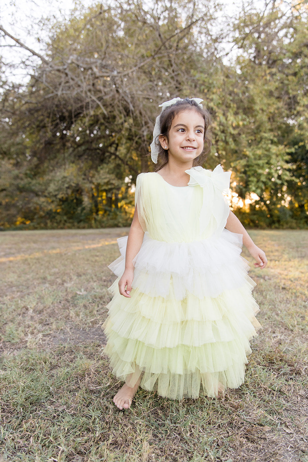 Dream Puff Spring Mesh Dress - Mila Raine 